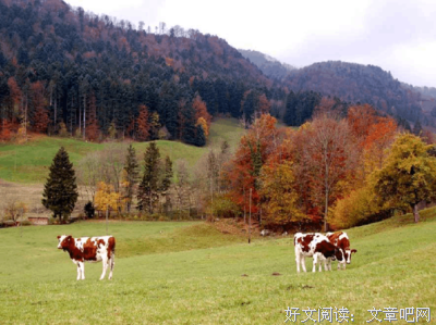 风景名句欣赏