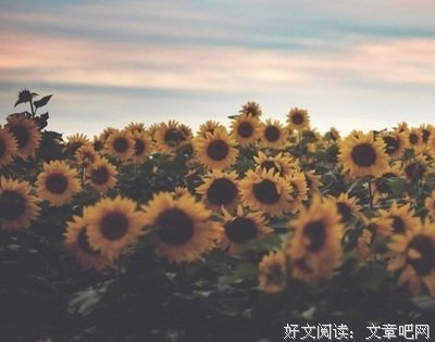 2019慕容萧萧的格言