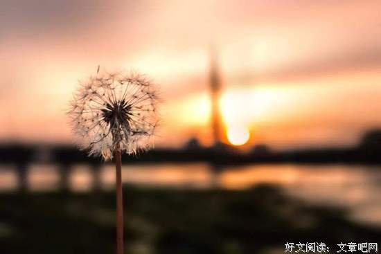 人性中最大的善良到底是什么