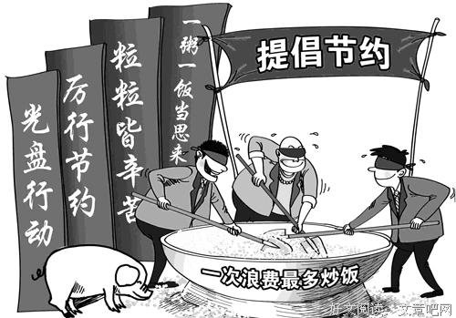 一粒稻米的一生