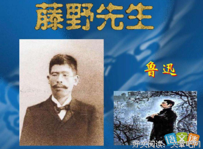 领事先生读后感1000字