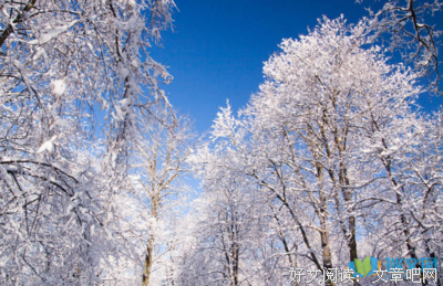 关于大雪纷飞的座右铭