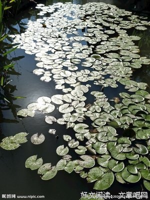 有关浮光掠影的美文美句摘抄