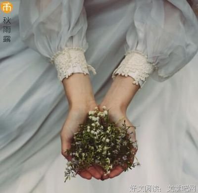 超凡脱俗的语句摘抄_关于超凡脱俗的语句