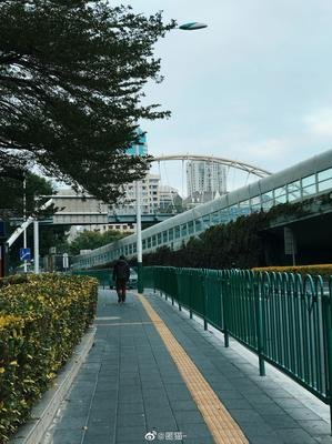 关于怅然若失的语句