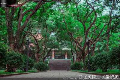 恰同学少年读后感摘抄