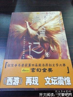 《朱雀记》读后感锦集