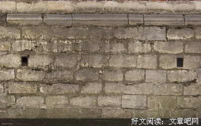 《污秽之神》经典影评集