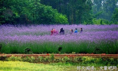 虽然怕的要死，但是受益无穷。。。