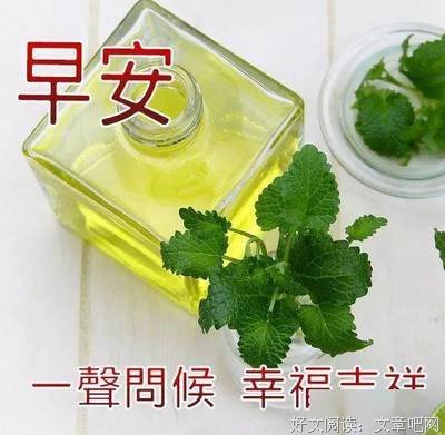 孩认风就我暖心经典的句子