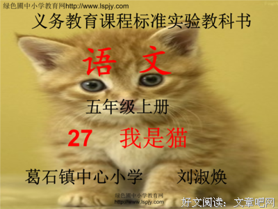 我是思想家的句子