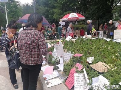 有车有房存款100万左右，给介绍个对象呗！