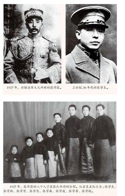 《张学良口述历史》读后感摘抄