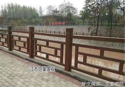 背负阳光读后感摘抄