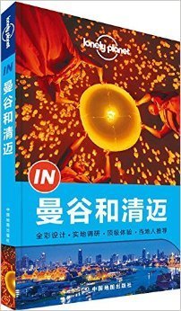 天使坠落的城市经典读后感有感