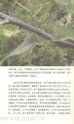 《美人如诗 草木如织》读后感精选