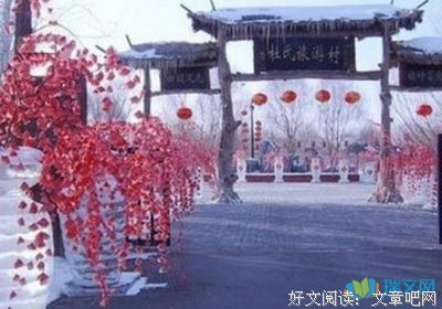《颤抖的音符》读后感锦集