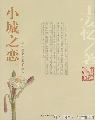 《小城之恋》经典读后感有感