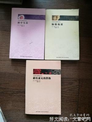 獻給虛無的供物读后感100字
