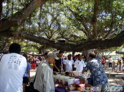 岩中花树的读后感大全