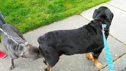 关于狭路相逢的座右铭