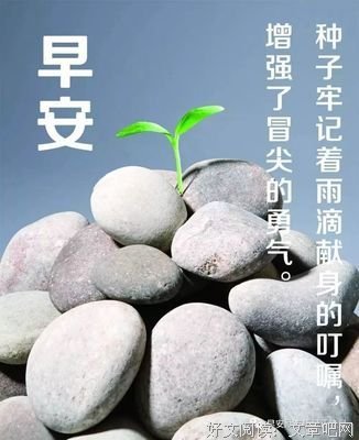 关于 不回头的句子