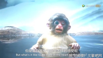 《间谍》的影评大全