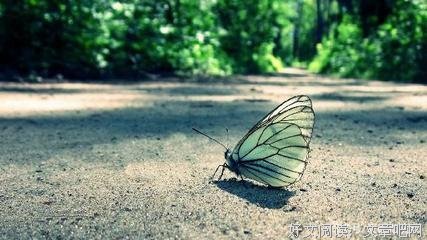 心有岁子出孩也再感的句子
