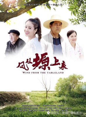 《风从塬上来》好看吗？经典影评锦集