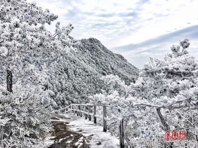 说说短句。的句子