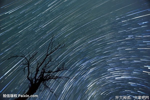 《黄昏流星群》经典观后感有感