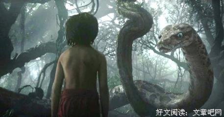 《1818黄金眼》好看吗？经典观后感锦集