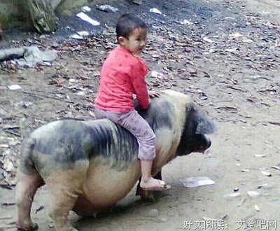 梭金句子大全