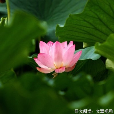寸的句子