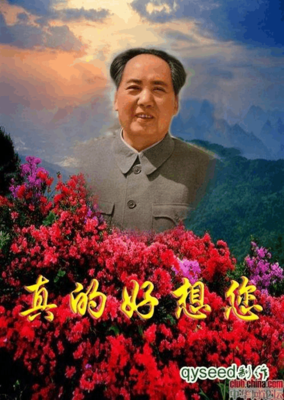 要向下毛句集经典名句
