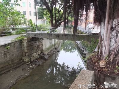 《左滩》经典影评1000字