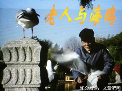 如果可以这样爱·续读后感1000字