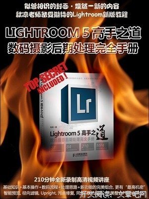 《数码摄影手册》的读后感大全