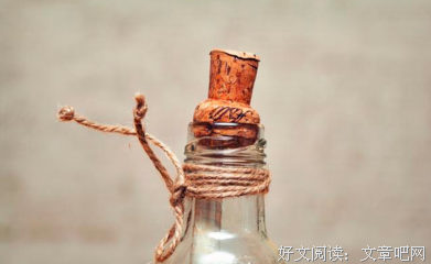 邻居太太的情人读后感100字