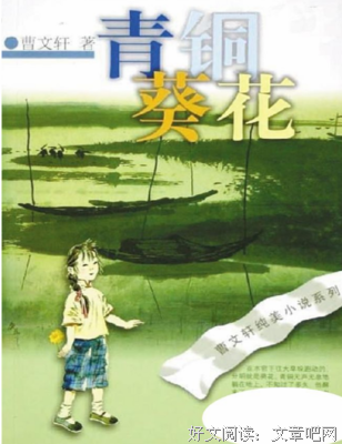 《青铜骑士》读后感1000字