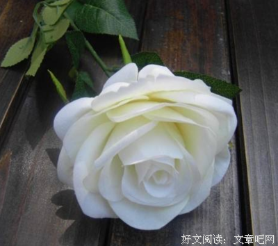 红玫瑰与白玫瑰 : 张爱玲小说集读后感锦集
