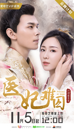 《医妃难囚》好看吗？经典观后感锦集