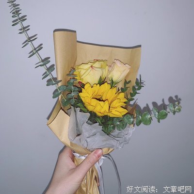 《喜新不厌旧 第五季》经典影评集
