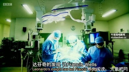 《艺术档案：天才达芬奇》好看吗？经典影评锦集