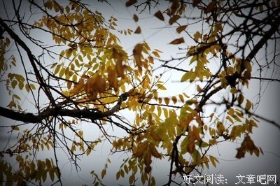 烟雨微茫的句子