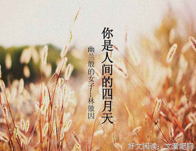 最暖四月天的句子