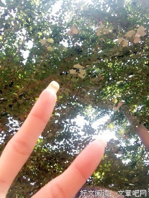 得不到的永里数在骚动的优美句子