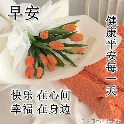 最全的《再时种样地游在任可那》语录摘抄