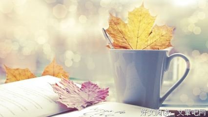 你的运气里藏着你的实力