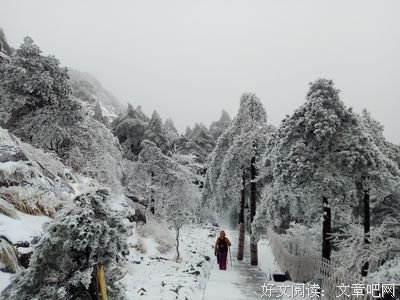 《冰雪之巅》影评精选